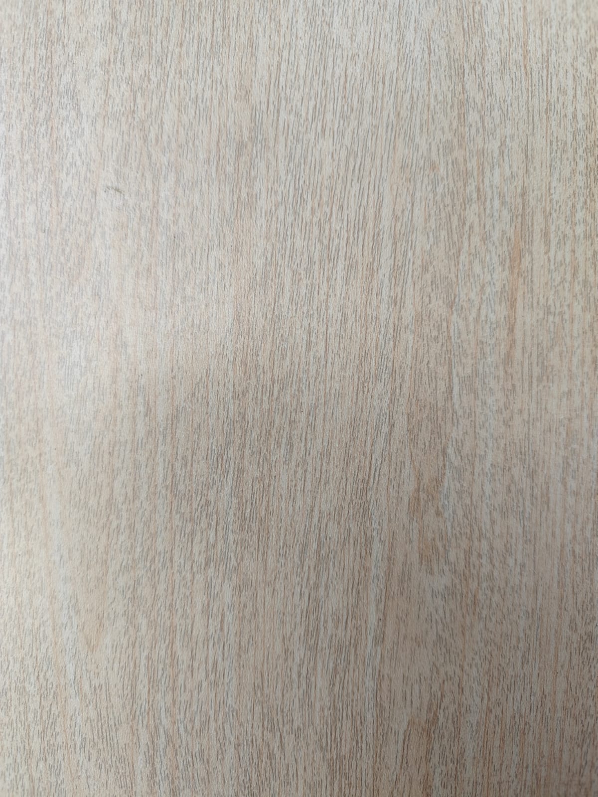 Forro Decorado Roble 6.00 Mt Fortlev