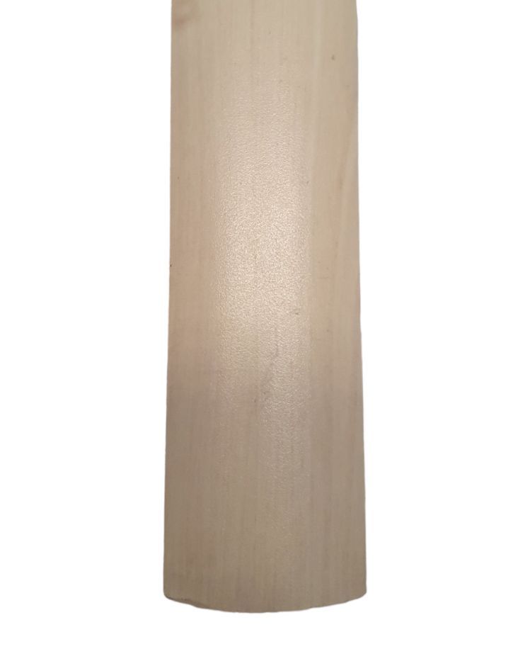 Perfil Redutor Cor: Patina Bege (2,10M) D...